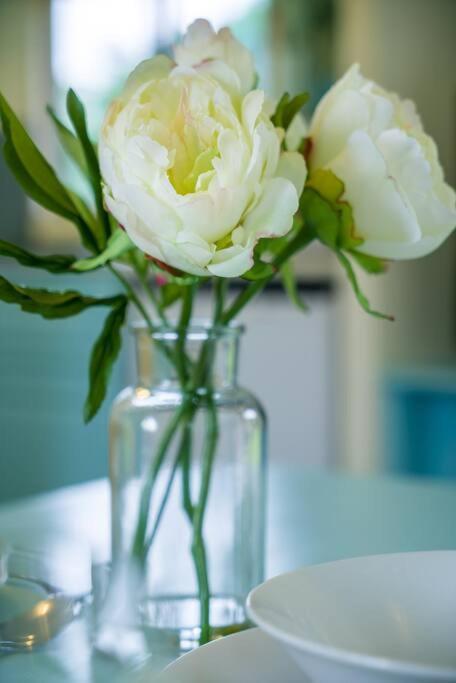 Wind In The Willows: Sleeps 4, Kitchen, Bathroom, Lounge, Wifi Napton on The Hill Eksteriør billede